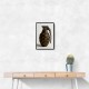 Louis Vuitton Fashion Inspired Grenade 1 Wall Art
